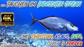 Tauchen im Indischen Ozean 🦀🐡 🐳 [upl. by Sieber]