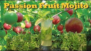 How To Make A Passion Fruit Mojito  Drinks Made Easy [upl. by Noisla]