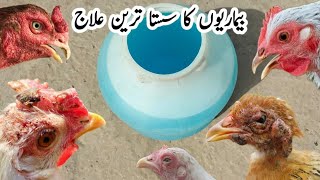 Treatment of Poultry Diseases  Use of Acidified Copper Sulfate in Poultry  Pets  Backyard Chicken [upl. by Ednew270]