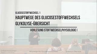 Hauptwege des Glukosestoffwechsel  GlykolyseÜbersicht Glucosestoffwechsel 1 [upl. by Dulcine]