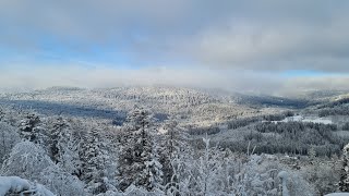 Wanderung ❄️ Bayerisch Eisenstein ❄️ Hochfels ❄️ Schwellhäusl ❄️ Haus zur Wildnis ❄️ bayern hiking [upl. by Ardnikat997]