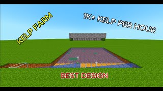 How to make a simple but good kelp farm for the Donut SMP [upl. by Aihsekal930]