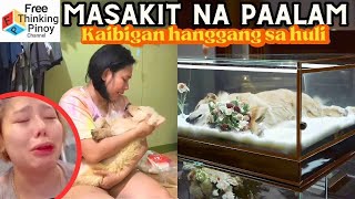 NAKAKAIYAK na Pamamaalam ng Pets sa kanilang Amo Pets bid Farewell to Owners [upl. by Kerri]