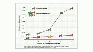 Men and Women  The Coolidge Effect [upl. by Adnawat296]