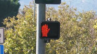 Leotek LED Pedestrian Signal with Broken Countdown Timer in Pleasanton California [upl. by Ardnoek480]