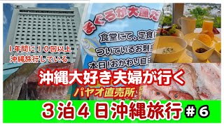 沖縄旅行🌺３泊４日沖縄好きリピーターが行く沖縄市漁業協同組合パヤオ直売店🐟那覇市ホテルで購入品を食べる。沖縄宿泊朝食バイキングinダブルツリーbyヒルトン那覇首里城 グルメ観光夫婦旅行vlog [upl. by Philbrook689]