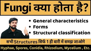 Fungi  Characteristics structure classification Types  Mycology Microbiology [upl. by Animahs]