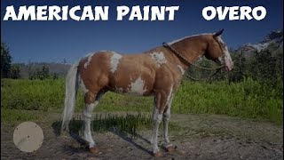 American paint Red dead Redemption 2 [upl. by Atiuqes]