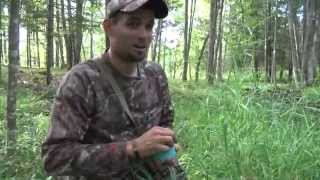 Discovering  Wild Blueberry Festival Brook Trout Fishing [upl. by Nilrak]