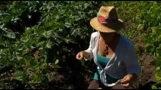 Watercliff Permaculture Farm  Shaw TV Nanaimo ch4 [upl. by Sib]