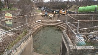 Barton Springs Pool emptied to create better environment for salamanders [upl. by Wera497]