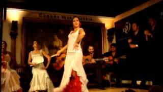 Flamenco in Madrid Spain [upl. by Melisandra904]