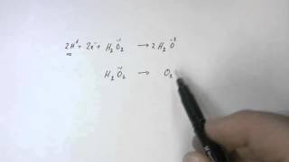 Half Equation  Hydrogen Peroxide [upl. by Rehsa]