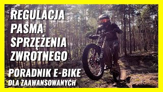 Poradnik BearEbike dla zaawansowanych  Regulacja Pasma Sprzężęnia zwrotnego prądu fazowego [upl. by Martica]