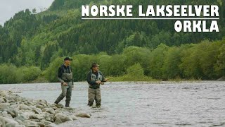 Norske lakseelver  Orkla [upl. by Aisayt168]