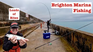 Brighton Bites Fishing on the Marina [upl. by Helsie]