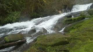 White Noise with Alsea Falls [upl. by Ralf]