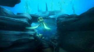 A TURTLES TALE  Shark  Film Clip [upl. by Nylak]