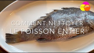 Nettoyer un Poisson Comme un Chef  Guide Complet pour Débutants [upl. by Ameekahs]