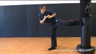 Krav Maga  Side Kick Tips to Improve Balance [upl. by Humphrey]