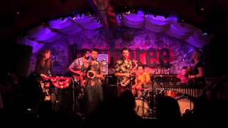 REPTILIAN MAMBO 4  Live at Jamboree Barcelona [upl. by Langill]