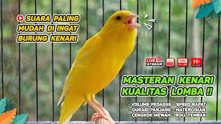 Kenari GACOR‼️ Masteran Burung Kenari PAUD dan Pancingan Kenari MACET BUNYI  EPISODE 1371 [upl. by Annamaria848]