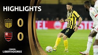 PEÑAROL vs FLAMENGO  HIGHLIGHTS  CONMEBOL LIBERTADORES 2024 [upl. by Wilma]