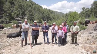 Trashumancia Cazorla Segura y las Villas Jaén [upl. by Manchester]