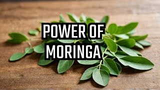 20 Benefits of Moringa plant you should know [upl. by Aronas]