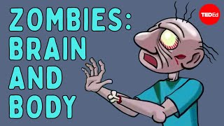 Diagnosing a zombie Brain and body Part one  Tim Verstynen amp Bradley Voytek [upl. by Quint956]