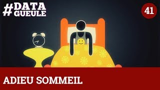 Adieu sommeil  DATAGUEULE 41 [upl. by Venn304]