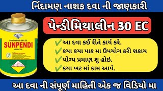 પેન્ડીમેથાલિન 30 EC દવા ની કાર્ય પદ્ધતી  pendimethalin 30 ec Herbicide [upl. by Ameg]