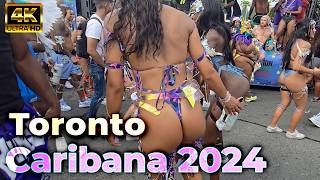 Toronto Caribana Carnival  Toronto Grand Parade on de Road Saldenah MasK Club carnival [upl. by Madea840]