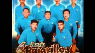 Banda Pajarillos Musical  El Paso De La Pantera [upl. by Ummersen]