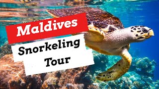 SNORKELING IN MALDIVES 🇲🇻  Part3 Maldives  Mercure Maldives Kooddoo Island  Gaafu Alifu Atol [upl. by Fries]