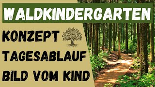 WALDKINDERGARTEN  Was ist das Naturpädagogik und Waldpädagogik  ERZIEHERKANAL [upl. by Yelrahc]