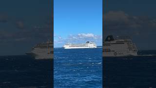 SHIP HORN MSC Armonia cruise ship msc cruise cruise shipcruiseship Horn [upl. by Rebna]