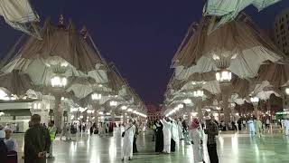 Detikdetik terbukanya payungpayung raksasa di Masjid Nabawi [upl. by Garnette]