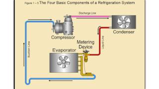 Online HVAC Training  Commercial Refrigeration [upl. by Dera]