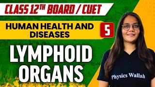 Human Health amp Diseases 05  Lymphoid Organs  Class 12thCUET [upl. by Atinor]