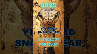 2025 Is Clash with Grand Duke bad🥊Part 3 of 4 astrology chineseastrology [upl. by Ettenoitna]