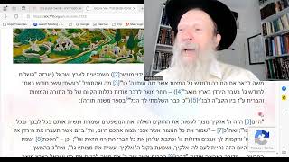 Dvar Malchut Yehudim Jews Thank Gd in word and DEED for EVERYTHING [upl. by Renata]