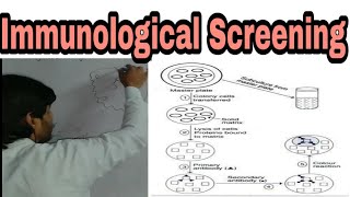 Screening Techniques part E immunological screening rDNA technology lecture 5 [upl. by Eerehc]