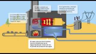 Com funciona una central de biomassa [upl. by Corney]