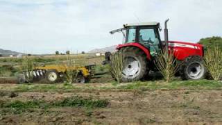 Jatropha Farming Maintenance [upl. by Nomaj]