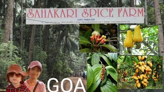 Sahakari Spice Farm  Goa Spice Garden  spice plantation [upl. by Borman751]