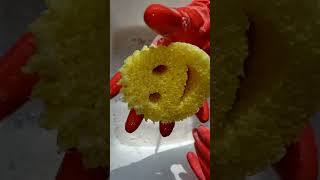 LemonSpongeLemonProduct scrubdaddy spongeasmr spongesqueeze asmrsounds sudsy asmr lemoncomet [upl. by Atnohsal]