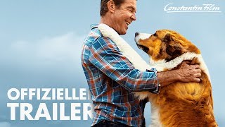 BAILEY  Ein Hund kehrt zurück I Offizieller Trailer [upl. by Egarton]