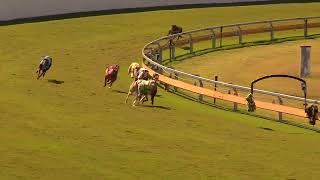 Bundaberg22072024Race4 [upl. by Daughtry]