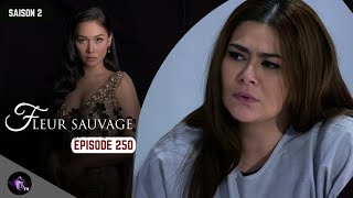 FLEUR SAUVAGE Épisode 250 en français  HD [upl. by Kramer380]